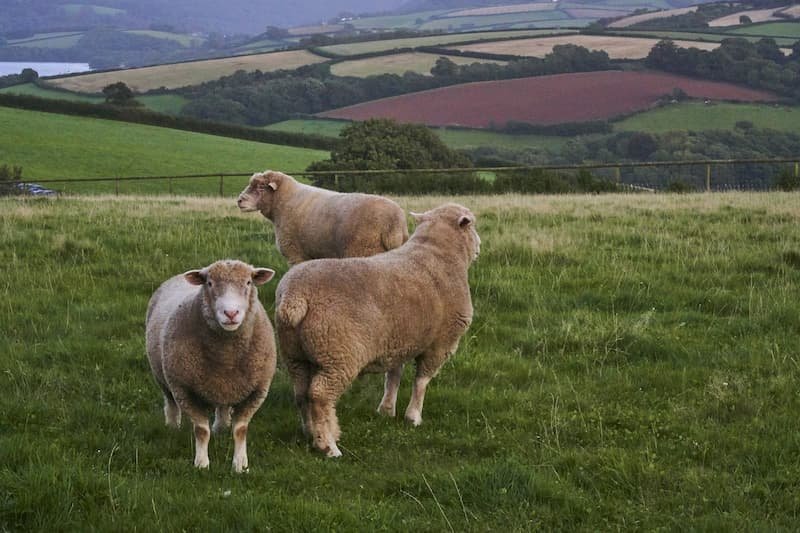 england-countryside